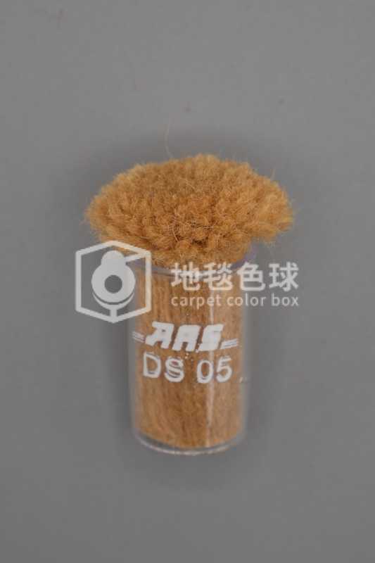 ARS DS05