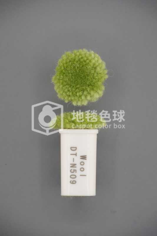 DT N509