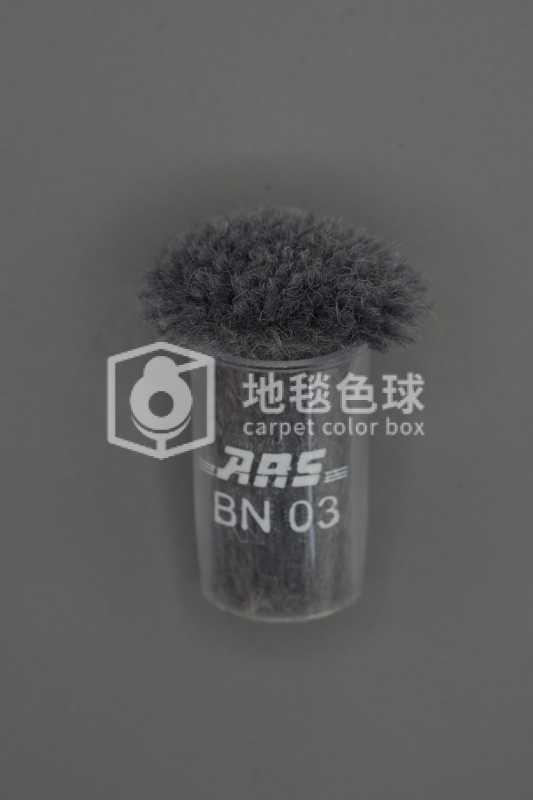 ARS BN03