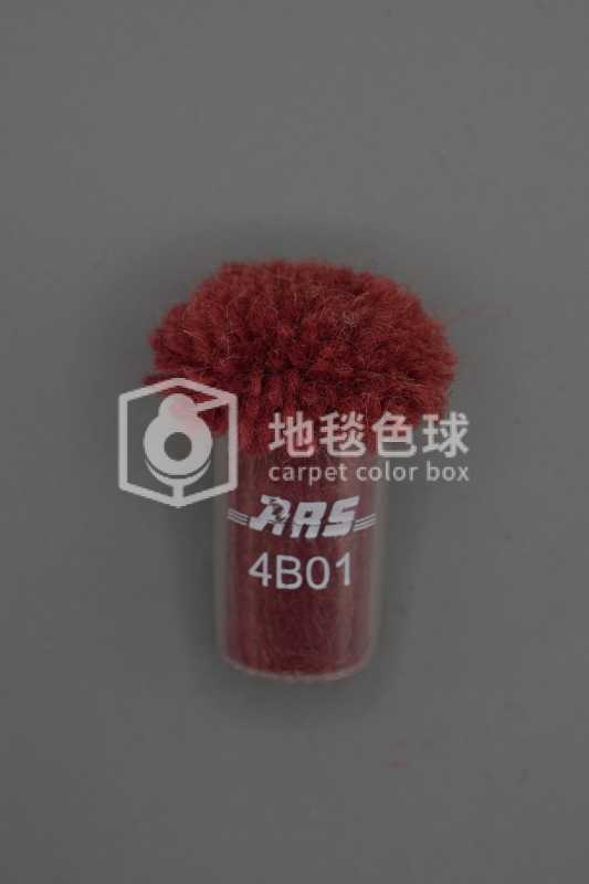 ARS 4B01