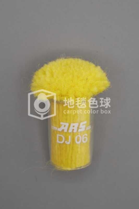 ARS DJ06