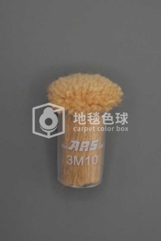 ARS 3M10