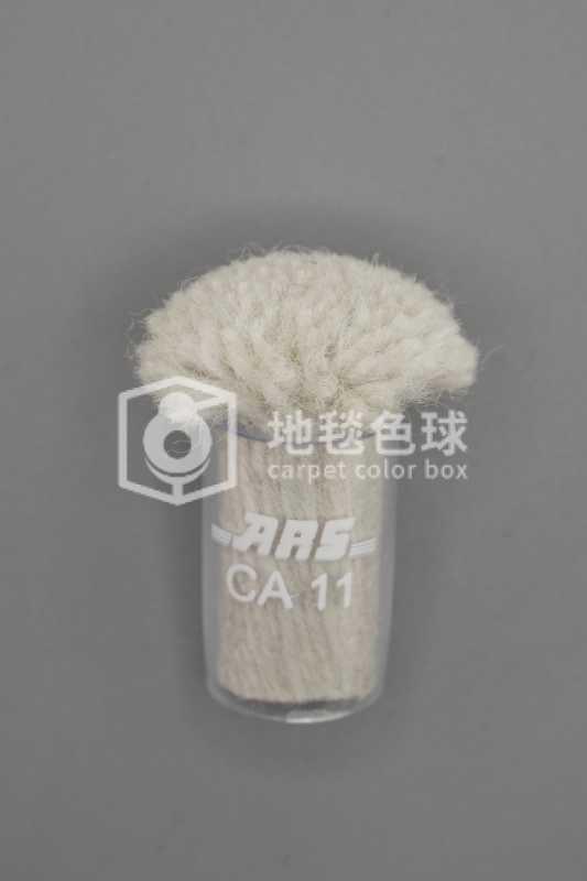 ARS CA11