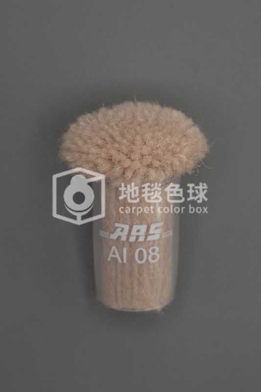 ARS AI08