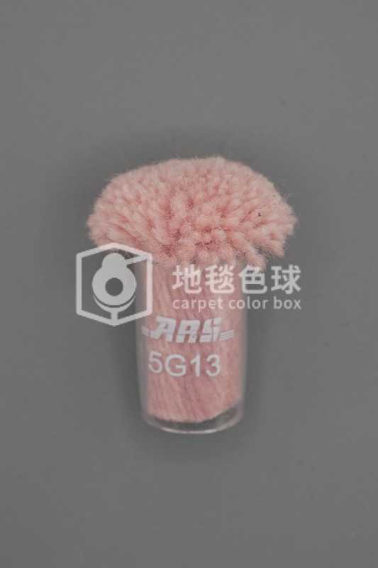 ARS 5G13