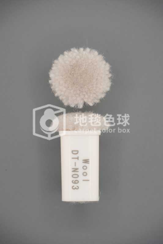 DT N093
