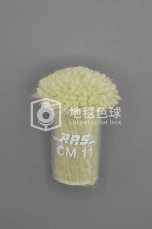 ARS CM11