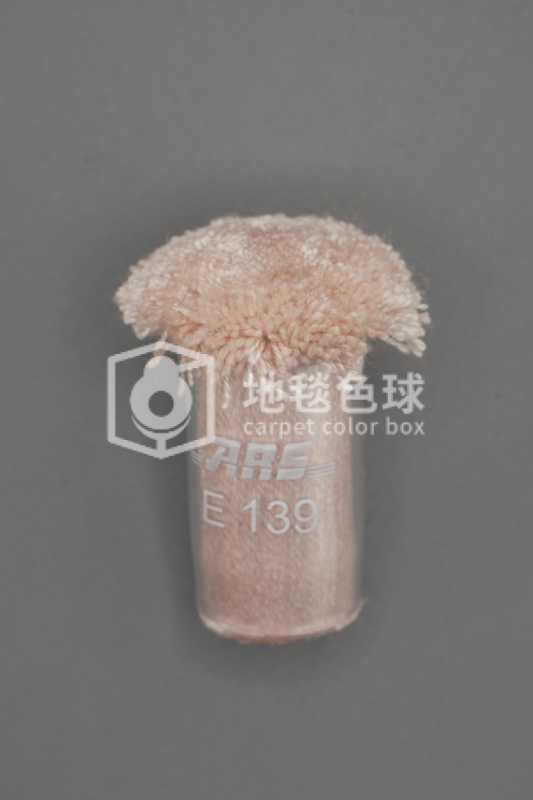 ARS E139
