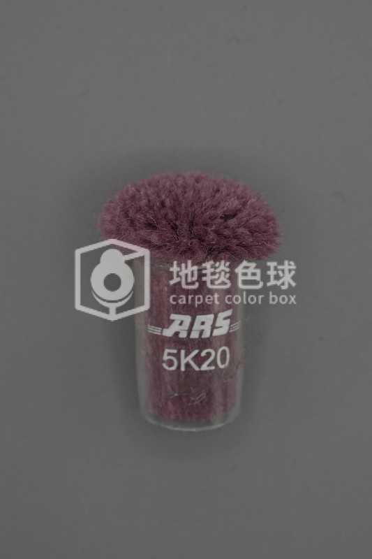ARS 5K20