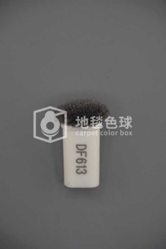 DF613