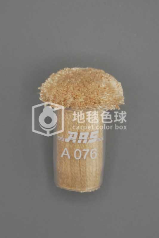 ARS A076
