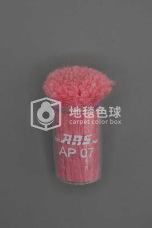 ARS AP07