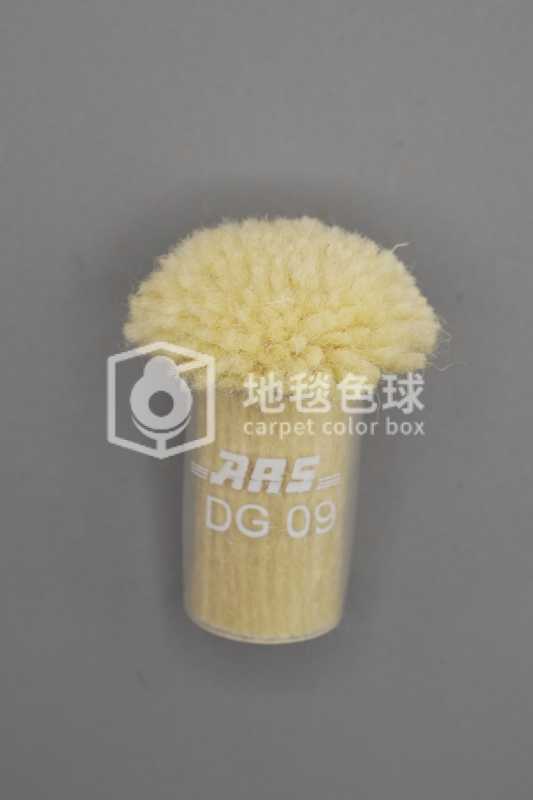 ARS DG09