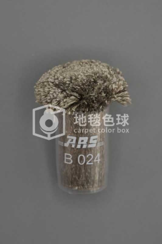 ARS B024