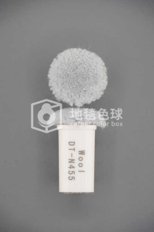 DT N455