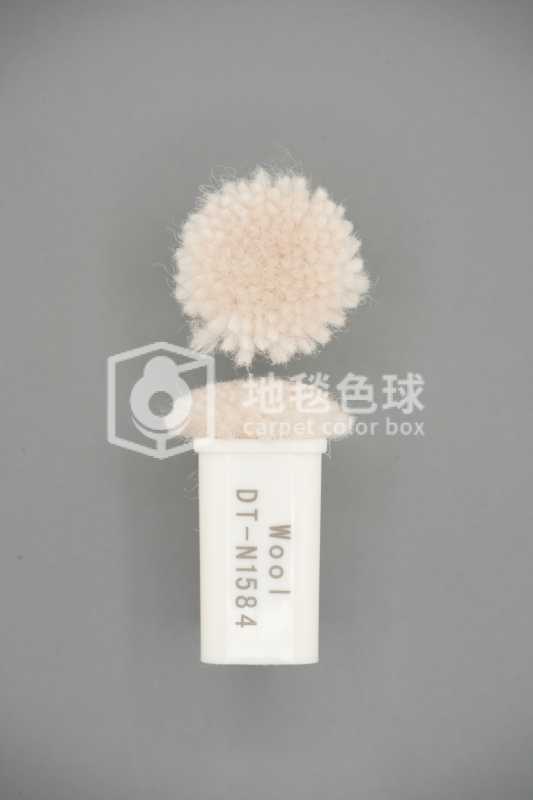 DT N1584
