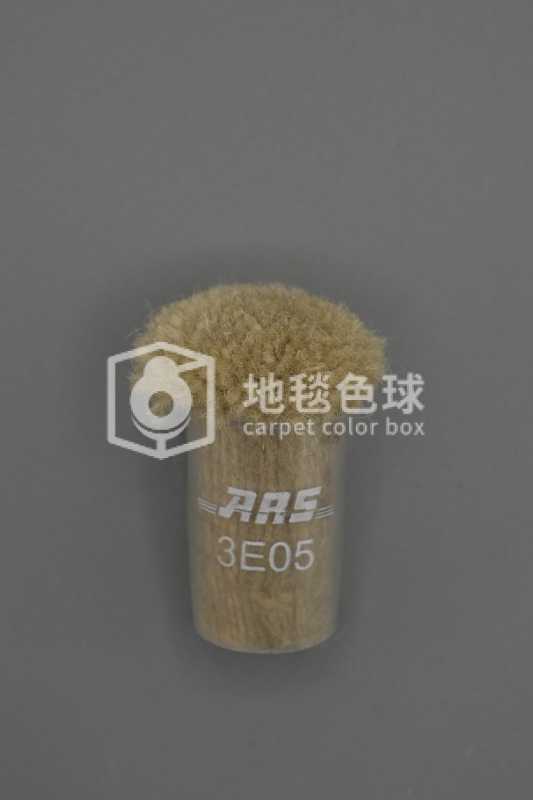 ARS 3E05