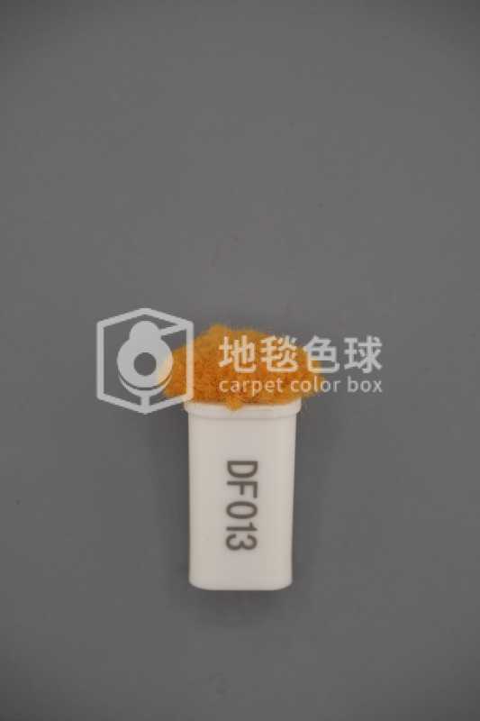 DF013