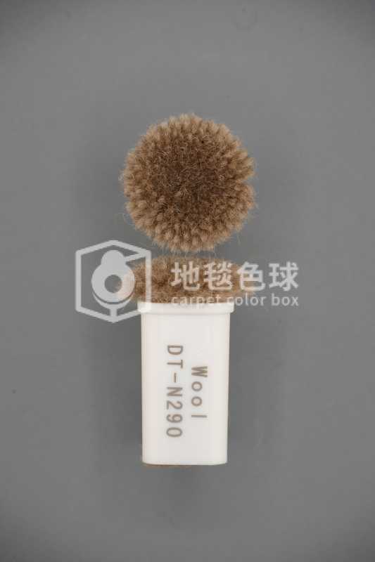 DT N290