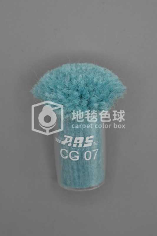 ARS CG07