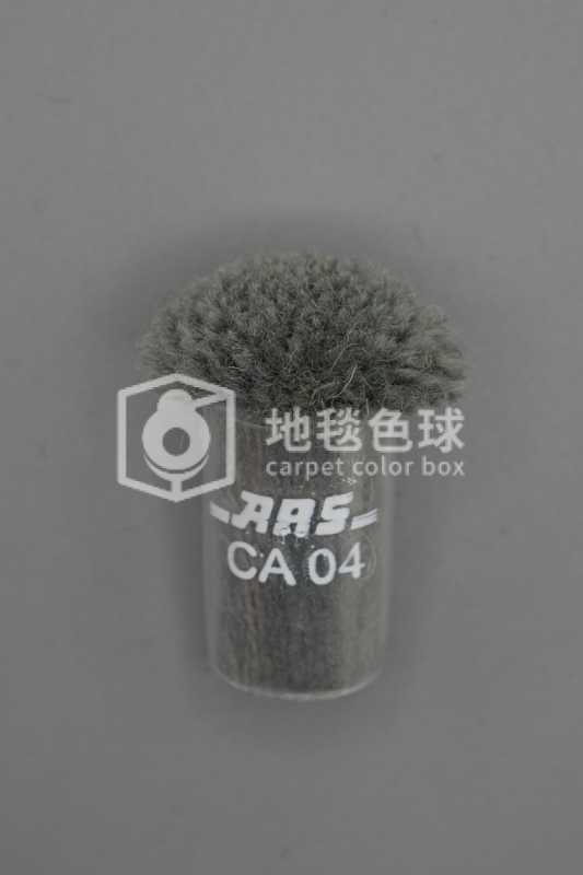 ARS CA04