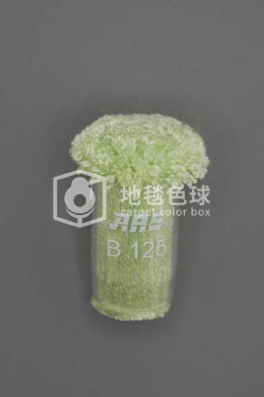 ARS B125