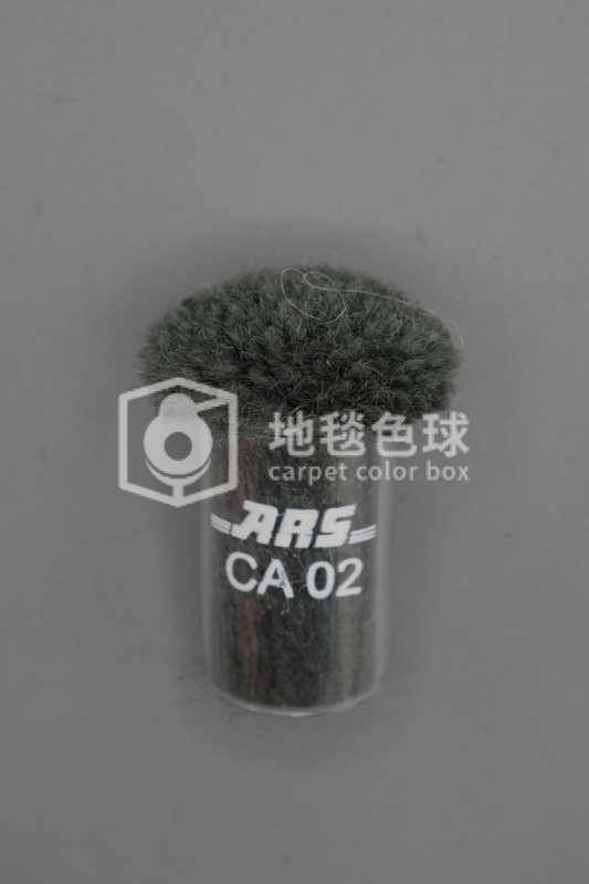 ARS CA02