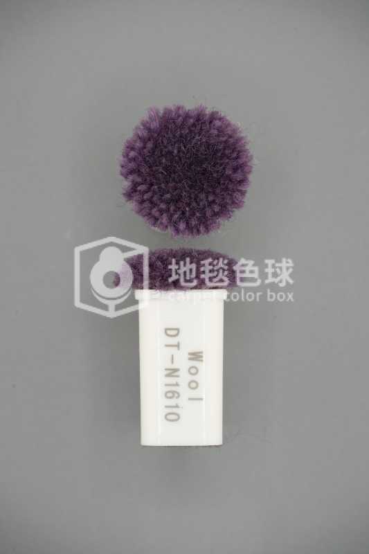 DT N1610