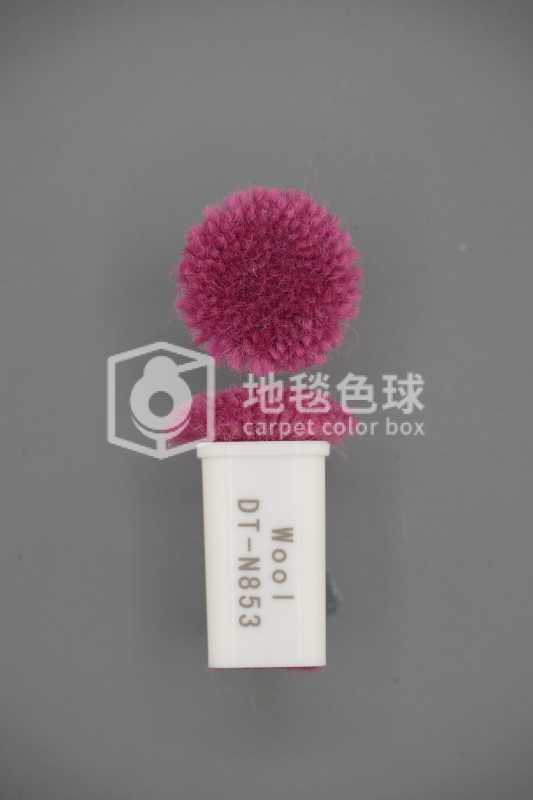 DT N853