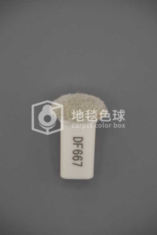 DF667