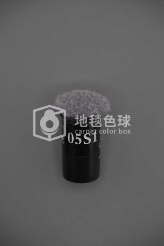 05S1