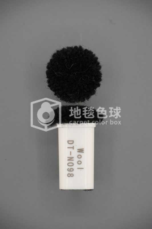 DT N098