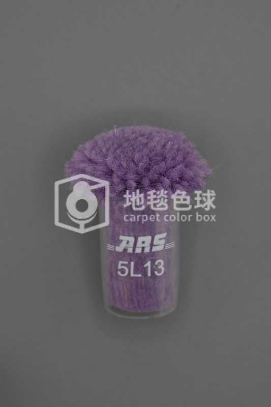 ARS 5L13