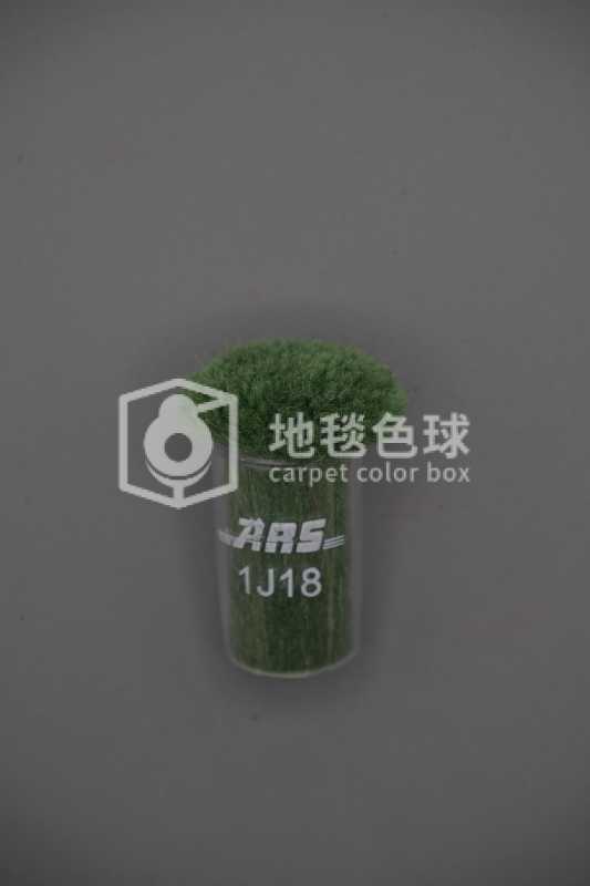 ARS 1J18