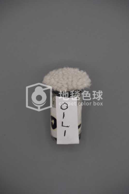 01L1