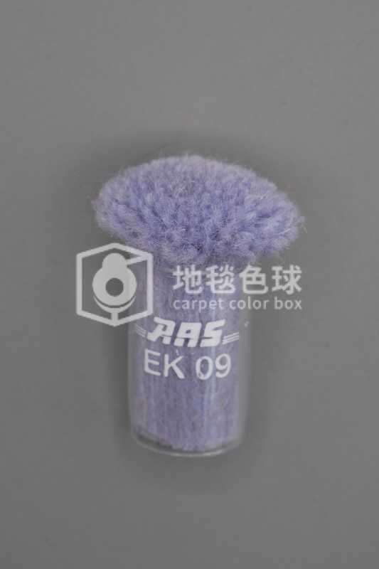 ARS EK09