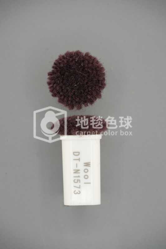 DT N1573