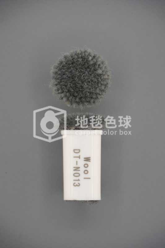 DT N013