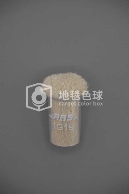 ARS 1G19