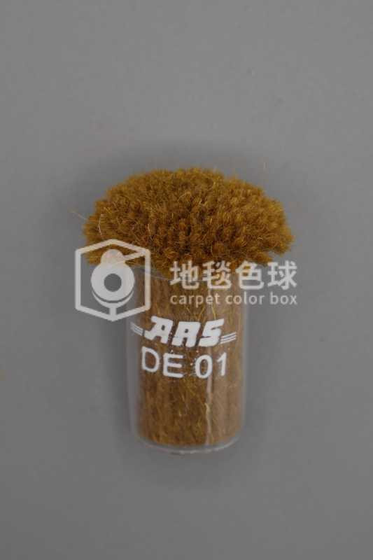 ARS DE01
