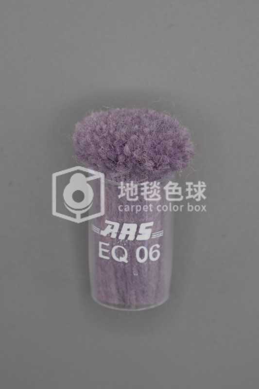 ARS EQ06