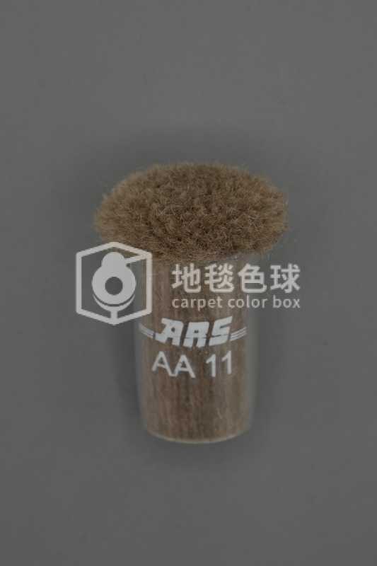 ARS AA11