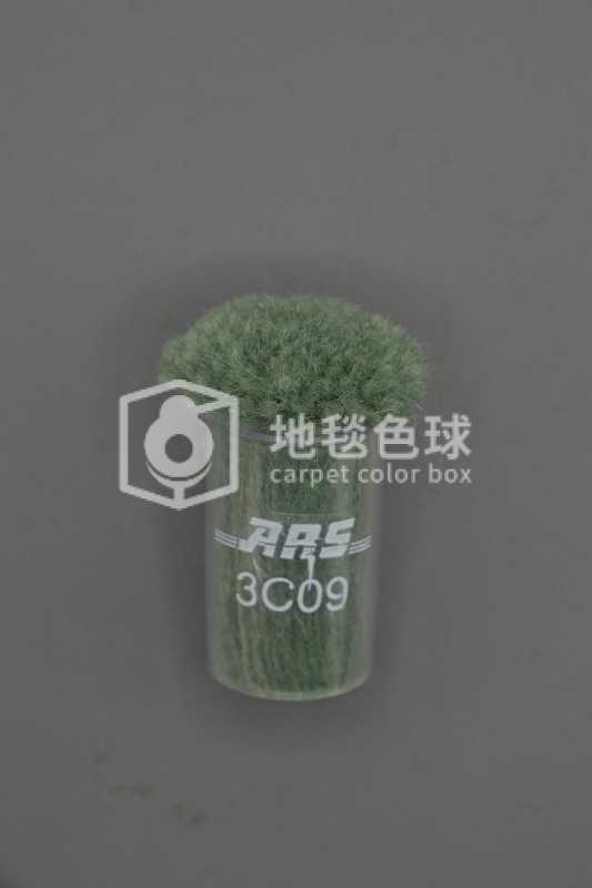 ARS 3C09