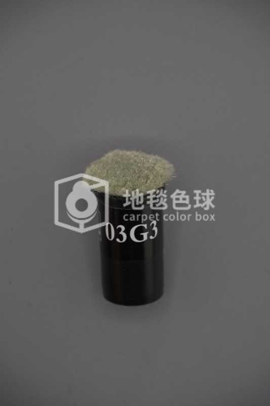 03G3