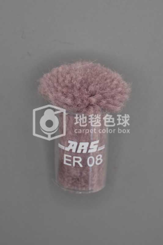 ARS ER08