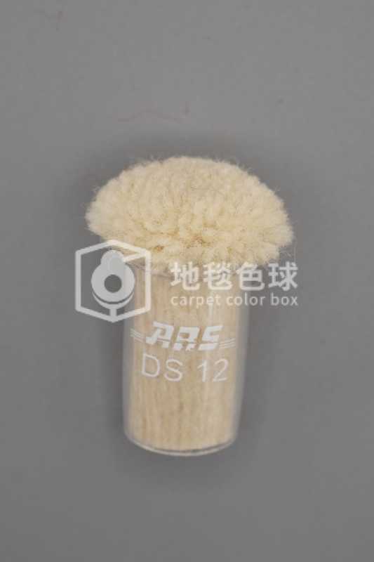 ARS DS12