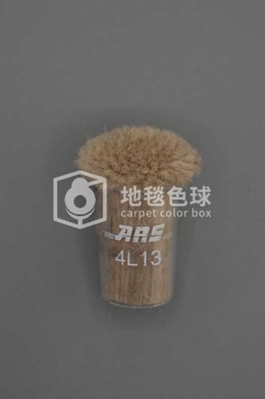 ARS 4L13