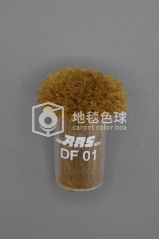 ARS DF01