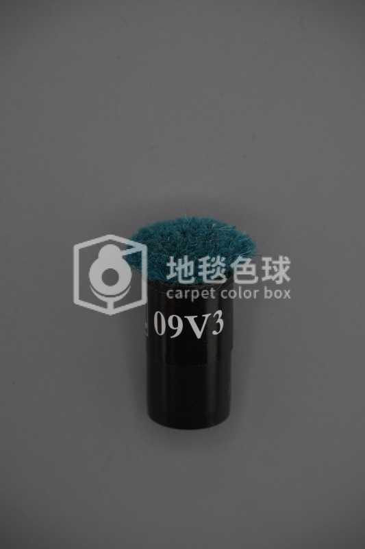 09V3
