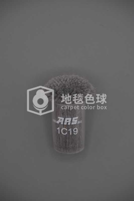 ARS 1C19